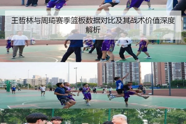 王哲林与周琦赛季篮板数据对比及其战术价值深度解析